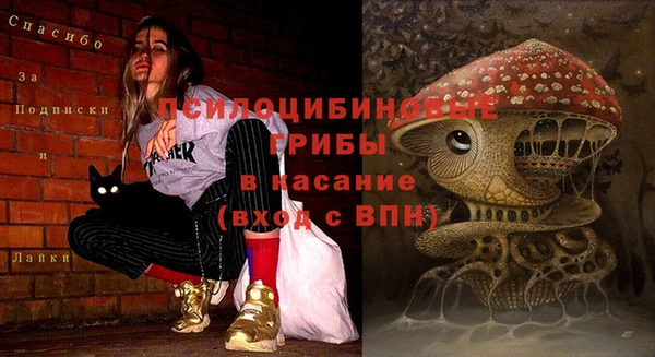 стафф Бугульма