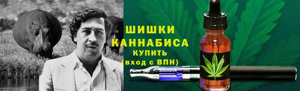 стаф Бронницы