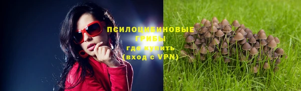 мдма Верхний Тагил